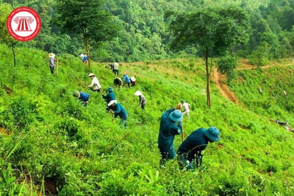 Công tác tập huấn chuyên môn nghiệp vụ quản lý bảo vệ rừng được triển khai tổ chức như thế nào?