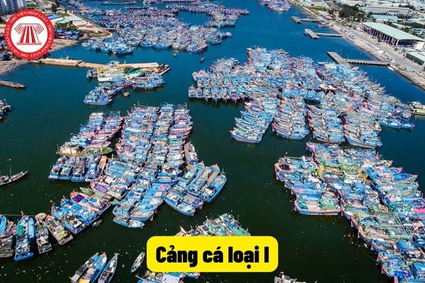 Cảng cá loại I