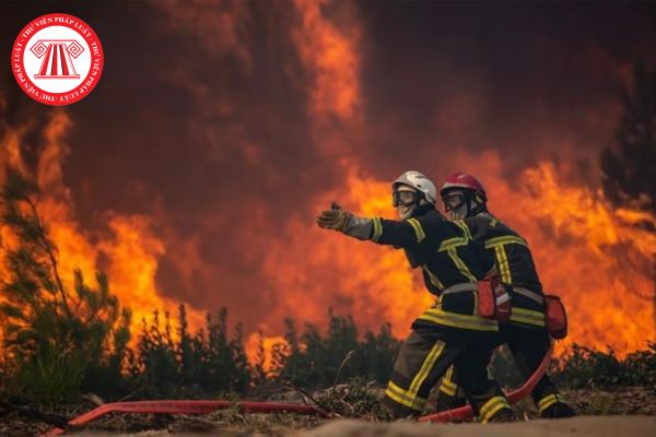 Cháy rừng do tự nhiên là gì? Tin dự báo, cảnh báo cháy rừng do tự nhiên gồm những nội dung nào?