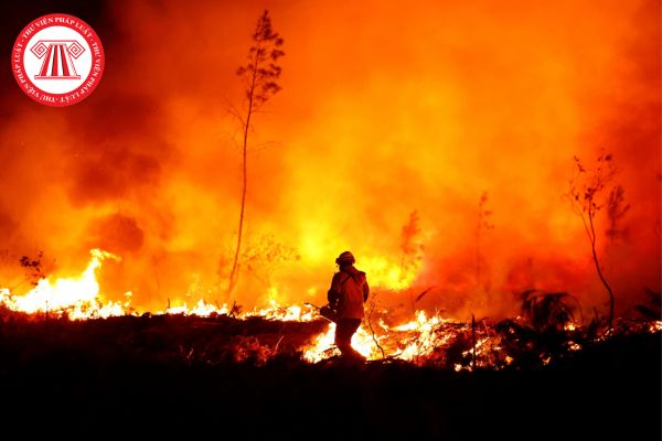 Có bao nhiêu cấp độ rủi ro thiên tai do cháy rừng do tự nhiên? Tin dự báo, cảnh báo cháy rừng do tự nhiên phát ở đâu?