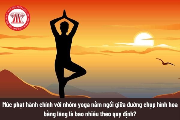 Mức phạt hành chính với nhóm yoga nằm ngồi giữa đường chụp hình hoa bằng lăng là bao nhiêu theo quy định?