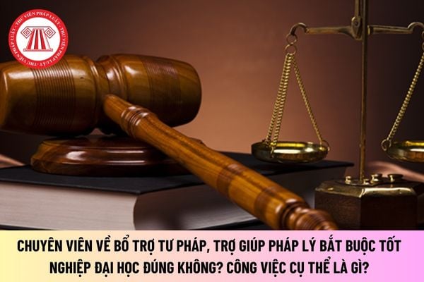 Chuyên viên về bổ trợ tư pháp, trợ giúp pháp lý bắt buộc tốt nghiệp đại học đúng không? Công việc cụ thể là gì?