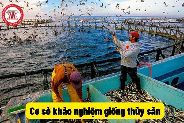 Cơ sở khảo nghiệm giống thủy sản