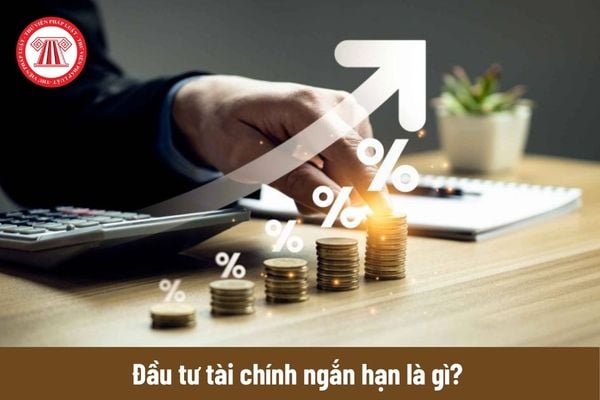 Đầu tư tài chính ngắn hạn là gì? Những khoản đầu tư nào được xếp vào đầu tư tài chính ngắn hạn?