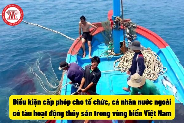 Điều kiện cấp phép cho tổ chức, cá nhân nước ngoài có tàu hoạt động thủy sản trong vùng biển Việt Nam