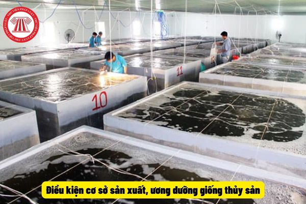 Điều kiện cơ sở sản xuất, ương dưỡng giống thủy sản