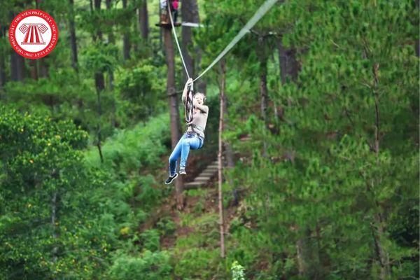 Đu dây mạo hiểm hành trình trên cao