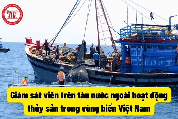 Giám sát viên trên tàu nước ngoài hoạt động thủy sản trong vùng biển Việt Nam