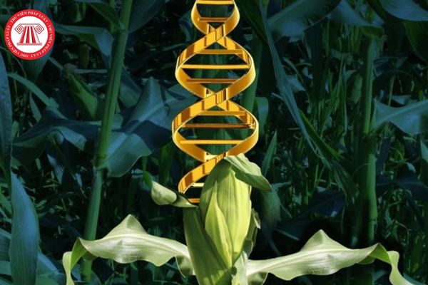 Tiếp cận nguồn gen cây trồng để nghiên cứu vì mục đích thương mại 