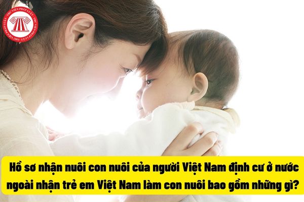 Hồ sơ nhận nuôi con nuôi của người Việt Nam định cư ở nước ngoài nhận trẻ em Việt Nam làm con nuôi bao gồm những gì? 