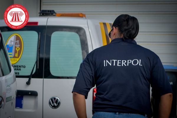 Interpol là gì? Tổng hợp 08 quyền của người bị bắt theo quyết định truy nã theo quy định của pháp luật Việt Nam?