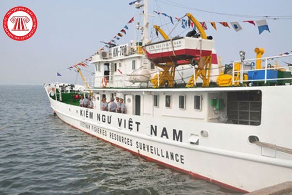 Tổ chức kiểm ngư Việt Nam