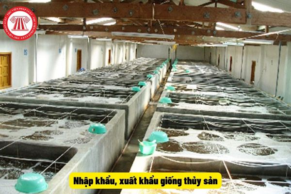 Nhập khẩu, xuất khẩu giống thủy sản