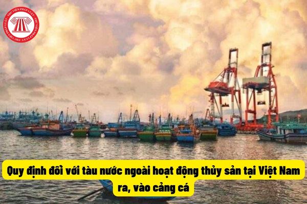 Quy định đối với tàu nước ngoài hoạt động thủy sản tại Việt Nam ra, vào cảng cá