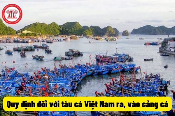 Quy định đối với tàu cá Việt Nam ra, vào cảng cá