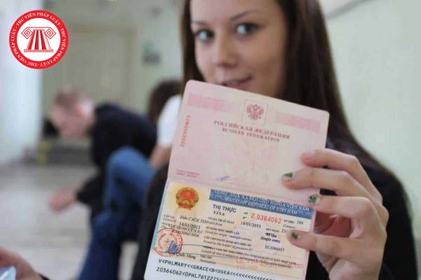 Loại giấy tờ nào có thể thay thế thị thực cấp cho người nước ngoài khi nhập cảnh vào Việt Nam?