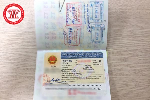 Thành viên đoàn khách mời của Chủ tịch nước được cấp loại thị thực nào? Có phải là thị thực NG1 không?