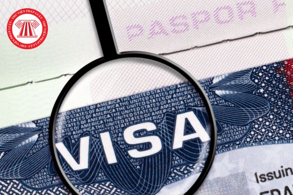 Người vào làm việc với tổ chức phi chính phủ nước ngoài tại Việt Nam được cấp thị thực gì? Có giá trị sử dụng bao nhiêu năm?