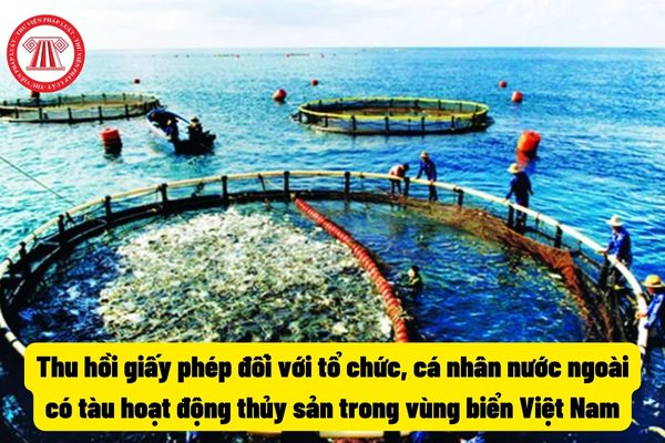 Thu hồi Giấy phép hoạt động thủy sản của tổ chức nước ngoài có tàu hoạt động thủy sản trong vùng biển Việt Nam