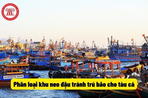 Phân loại khu neo đậu tránh trú bão cho tàu cá