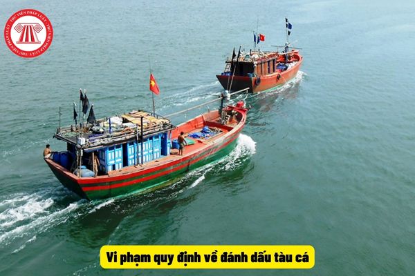 Vi phạm quy định về đánh dấu tàu cá