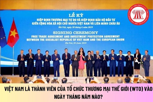 Việt Nam là thành viên của Tổ chức Thương mại thế giới (WTO) vào ngày tháng năm nào? Là thành viên thứ bao nhiêu của WTO?