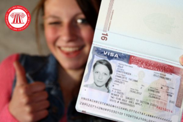 Visa cấp cho nhà đầu tư nước ngoài tại Việt Nam có thời hạn bao nhiêu năm? Tiêu chí phân loại visa cấp cho đối tượng này?