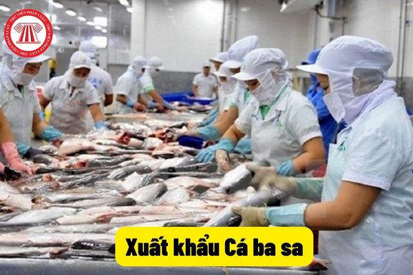 Xuất khẩu Cá ba sa