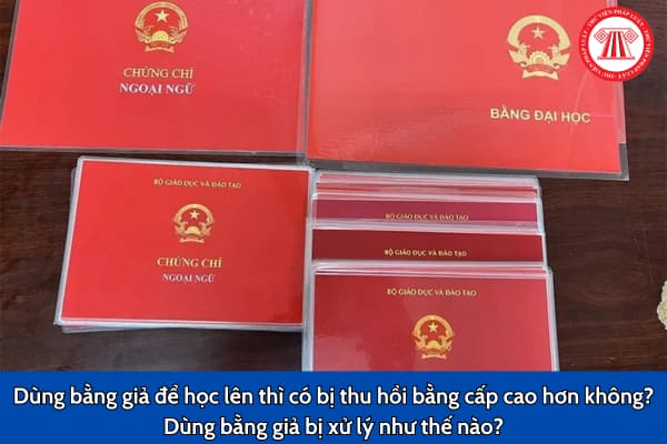 Dùng bằng giả để học lên thì có bị thu hồi bằng cấp cao hơn không? Dùng bằng giả bị xử lý như thế nào?