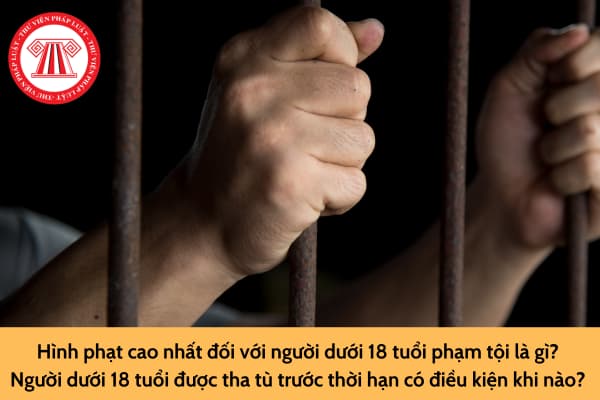 Hình phạt cao nhất đối với người dưới 18 tuổi phạm tội là gì? Người dưới 18 tuổi được tha tù trước thời hạn có điều kiện khi nào? 