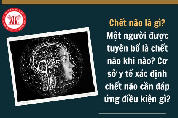 Chết não là gì? Một người được tuyên bố là chết não khi nào?