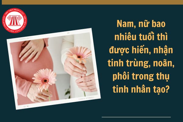 Nam, nữ bao nhiêu tuổi thì được hiến, nhận tinh trùng, noãn, phôi trong thụ tinh nhân tạo?