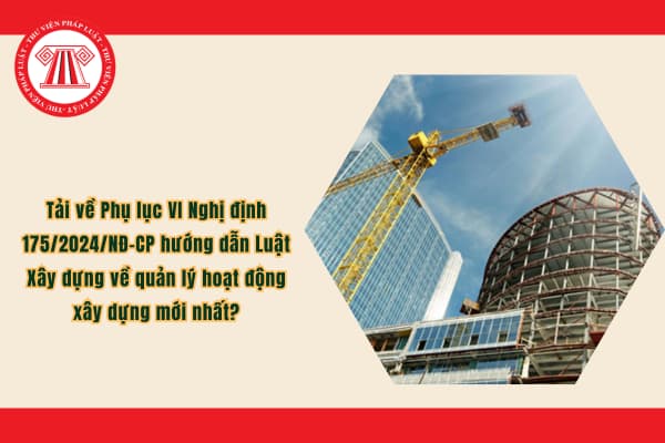 Pháp luật