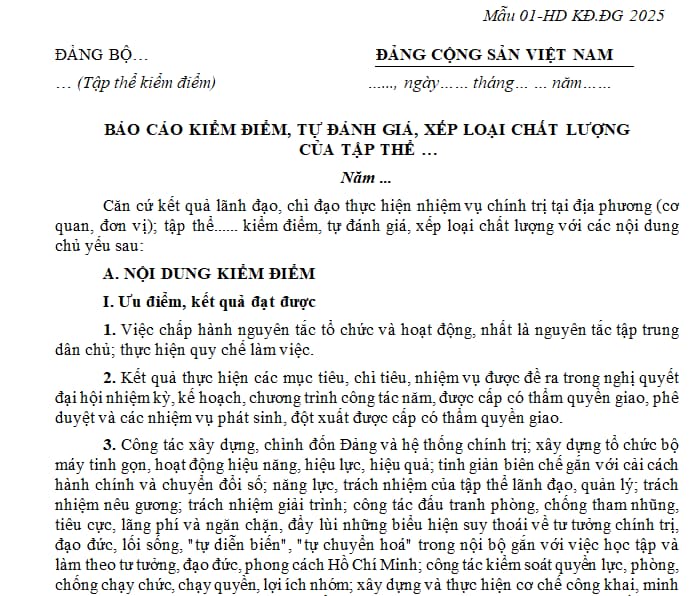mẫu 01