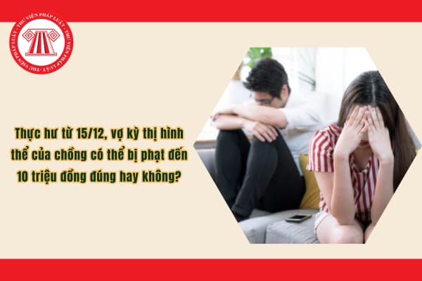 Pháp luật