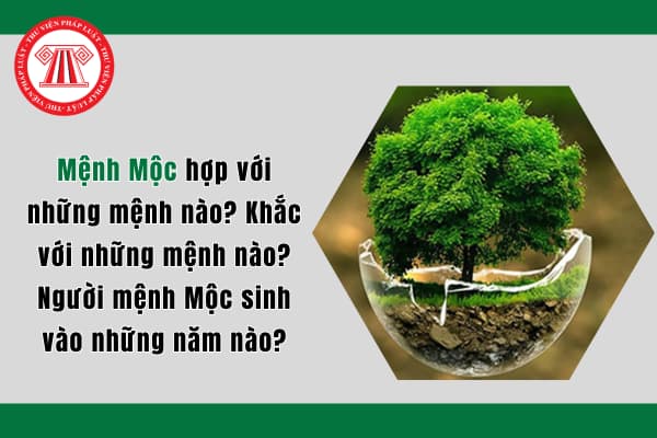 Mệnh Mộc hợp với những mệnh nào? Khắc với những mệnh nào? Người mệnh Mộc sinh vào những năm nào?