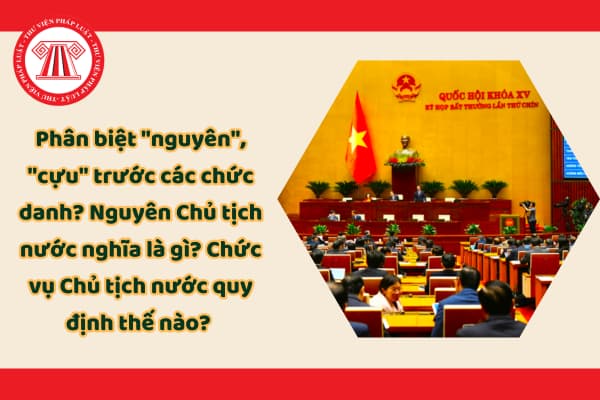 Pháp luật