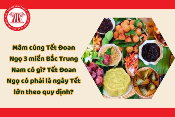 Pháp luật