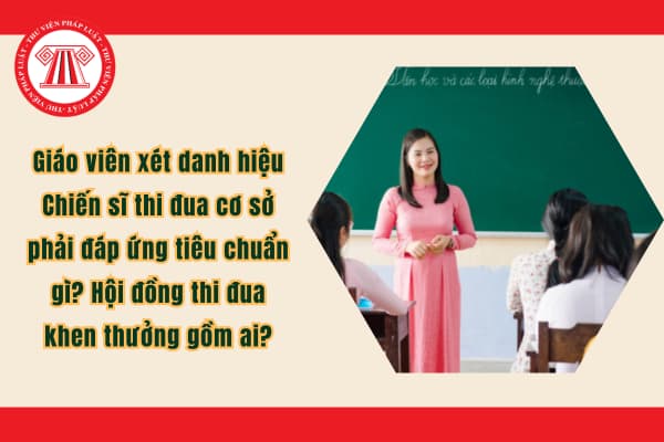 Pháp luật