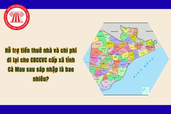 Pháp luật