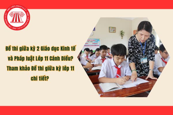 Pháp luật
