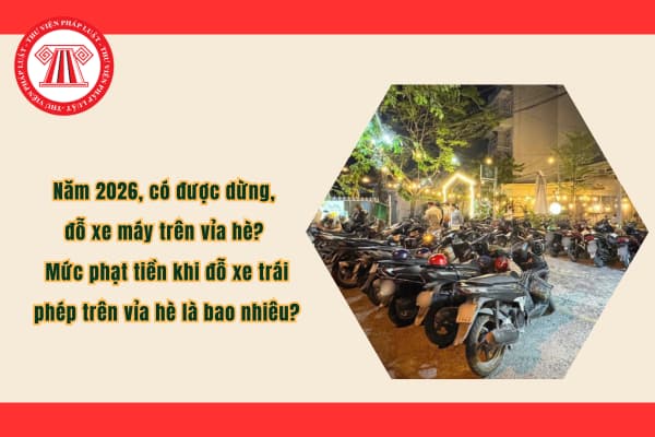 Pháp luật