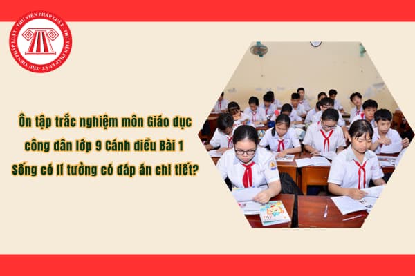 Pháp luật