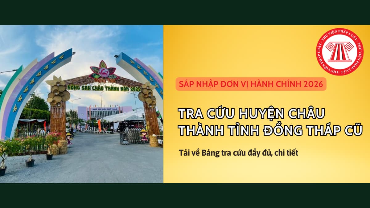 Pháp luật