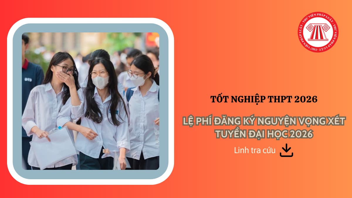 Pháp luật