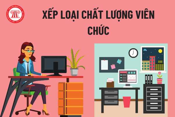 Xếp loại chất lượng viên chức 