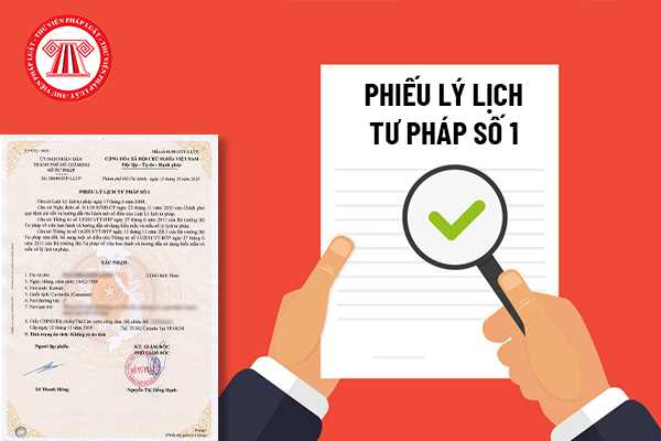 Ai có thể yêu cầu cấp phiếu lý lịch tư pháp? 
