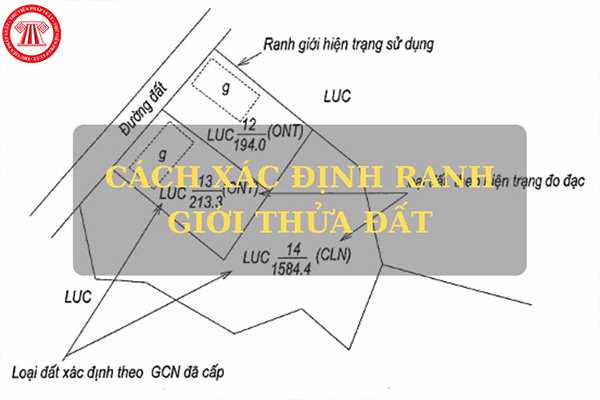 Việc xác định ranh giới giữa các thửa đất được tiến hành như thế ...