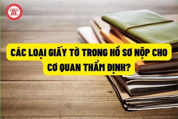 Các loại giấy tờ bắt buộc phải có trong hồ sơ nộp cho cơ quan thẩm định trên địa bàn Thành phố Hồ Chí Minh năm 2022?