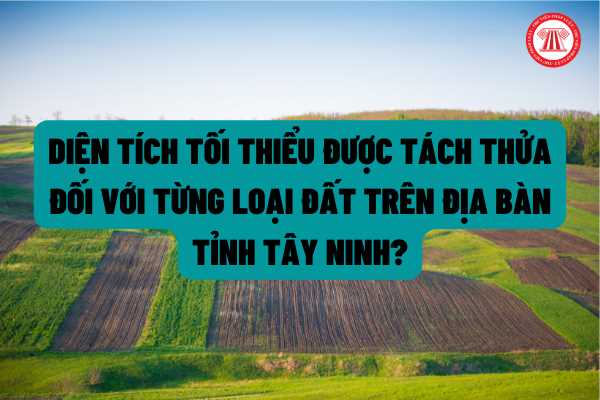 Diện tích tối thiểu được tách thửa đối với từng loại đất trên địa bàn tỉnh Tây Ninh là bao nhiêu?   